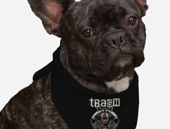 Trasher Punk