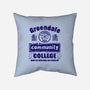 You're Already Accepted-None-Removable Cover-Throw Pillow-kg07