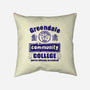 You're Already Accepted-None-Removable Cover-Throw Pillow-kg07