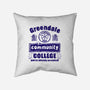 You're Already Accepted-None-Removable Cover-Throw Pillow-kg07