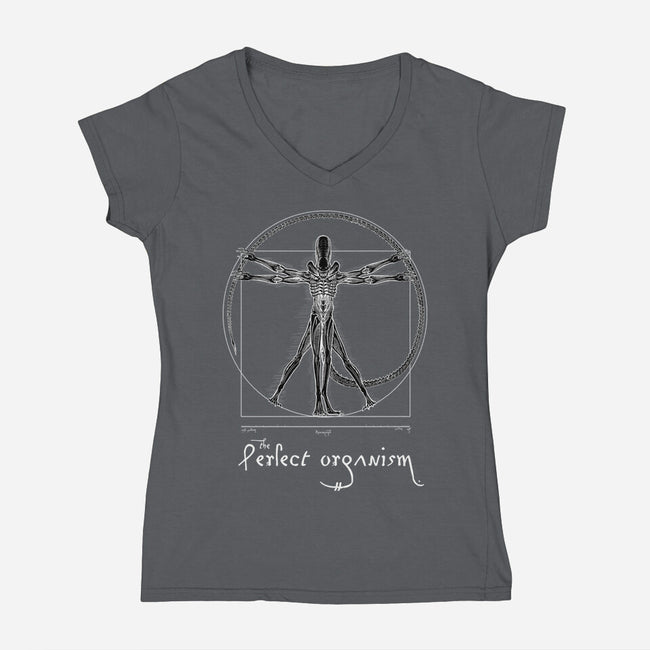 Perfect Organism-Womens-V-Neck-Tee-daobiwan