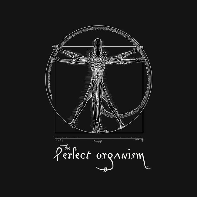 Perfect Organism-Womens-Off Shoulder-Tee-daobiwan