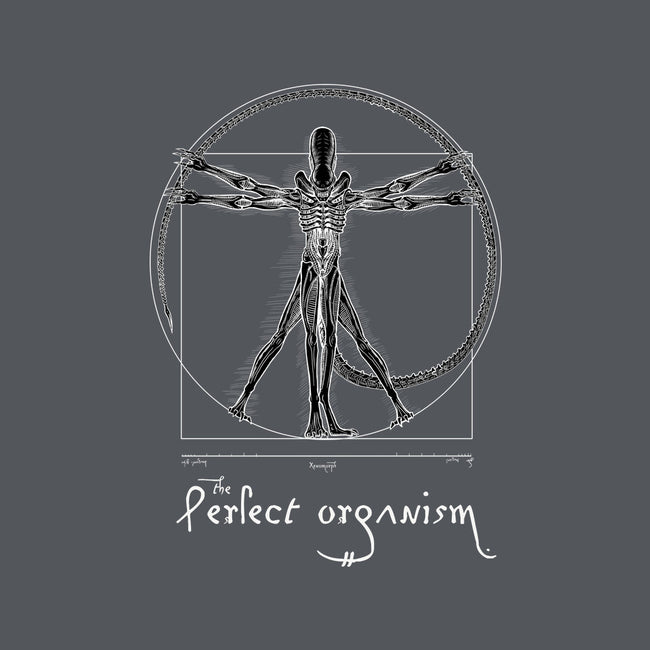 Perfect Organism-Womens-V-Neck-Tee-daobiwan