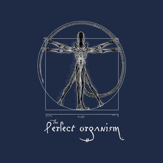 Perfect Organism-Youth-Basic-Tee-daobiwan