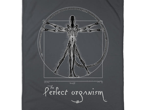 Perfect Organism