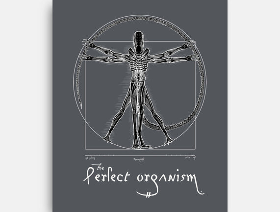 Perfect Organism