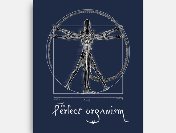 Perfect Organism