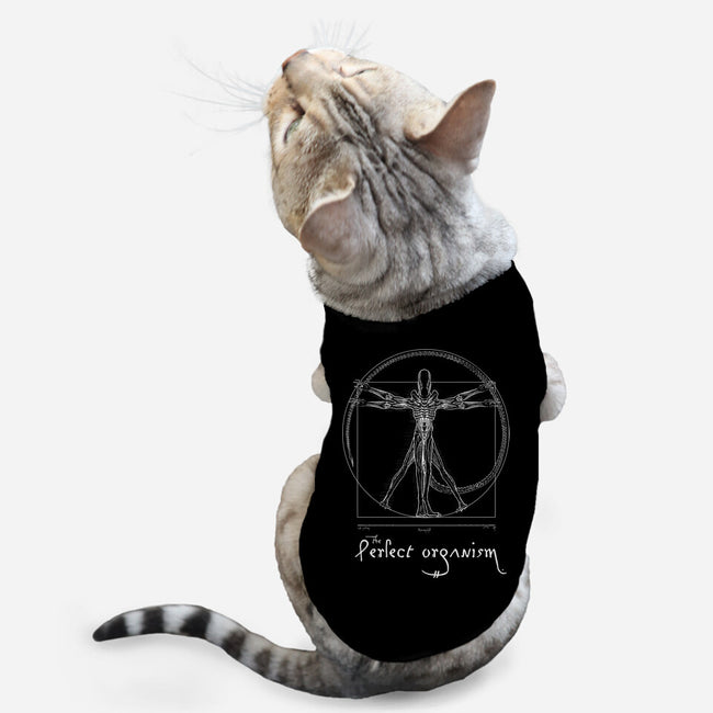 Perfect Organism-Cat-Basic-Pet Tank-daobiwan