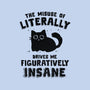 Figuratively Insane-Unisex-Kitchen-Apron-kg07