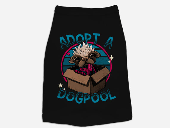 Adopt A Dogpool