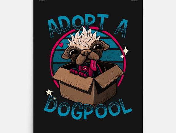 Adopt A Dogpool