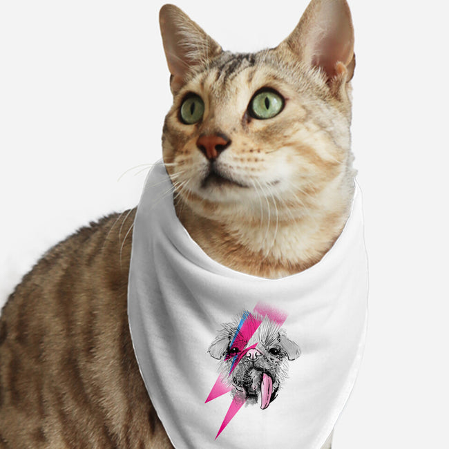 Adogin Sane-Cat-Bandana-Pet Collar-Donnie