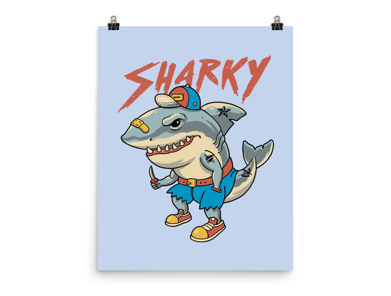 Sharky Boy