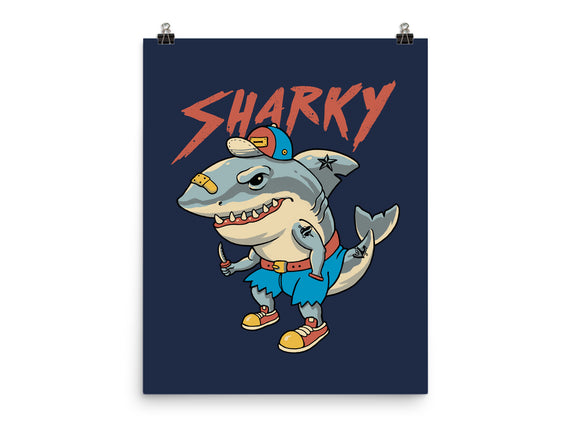 Sharky Boy