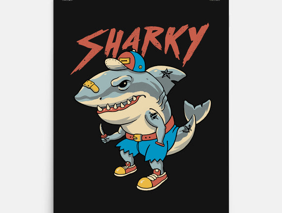 Sharky Boy