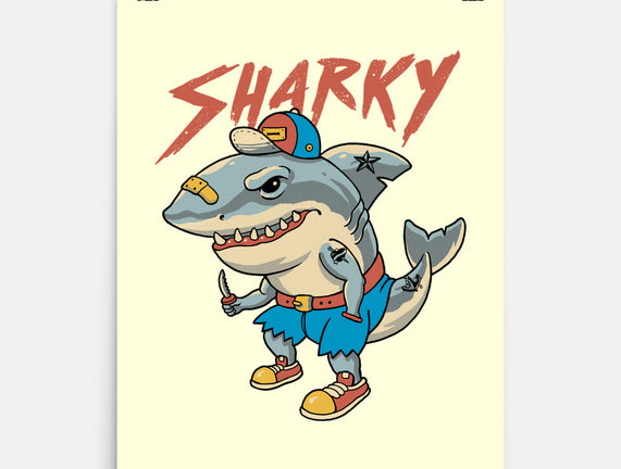 Sharky Boy