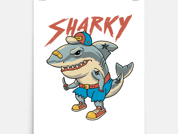 Sharky Boy