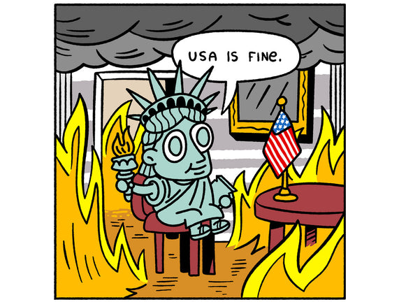 USA Is Fine