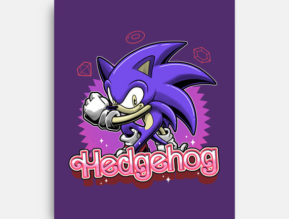 The Blue Hedgehog