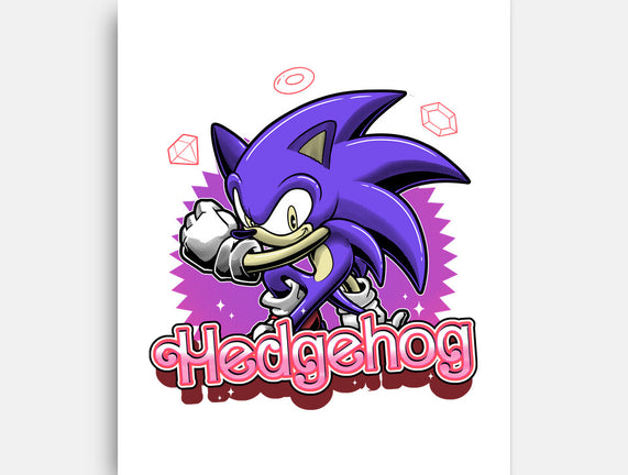 The Blue Hedgehog