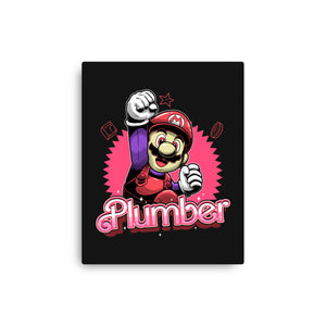 The Plumber