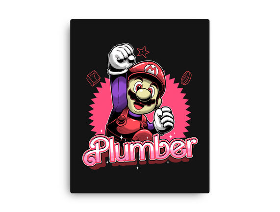 The Plumber