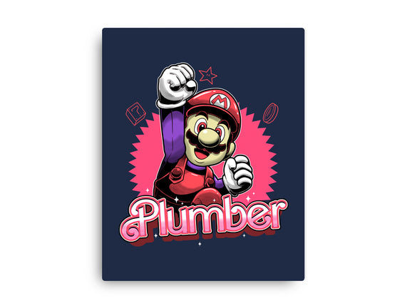 The Plumber