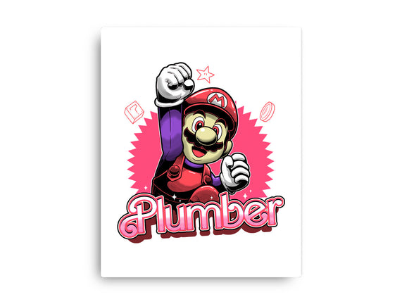 The Plumber