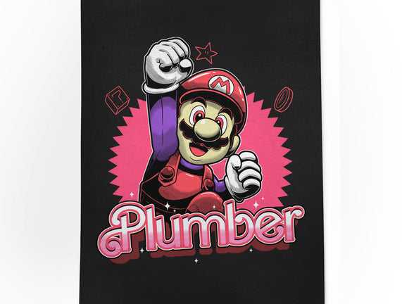 The Plumber