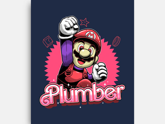 The Plumber