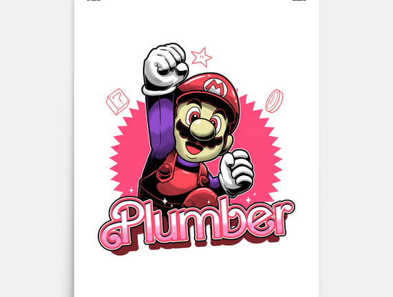 The Plumber