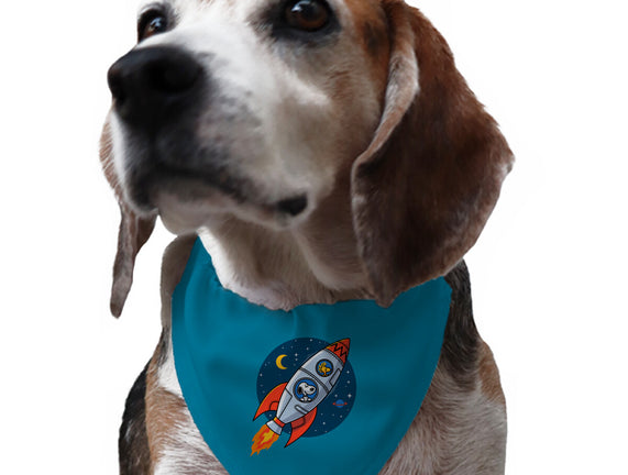 Space Beagle