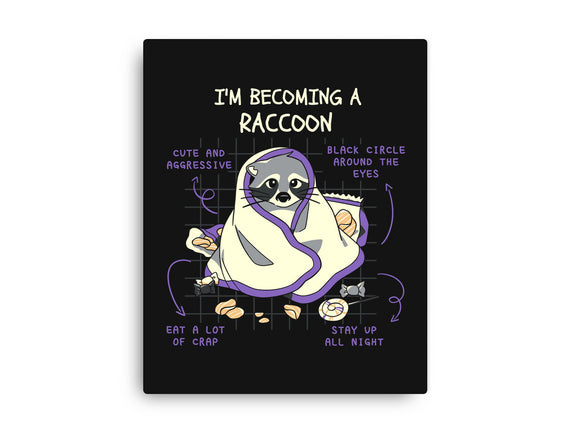 Becoming A Raccoon