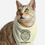 Heroes Shield-Cat-Bandana-Pet Collar-fanfreak1