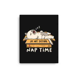 Nap Time Do Not Disturb