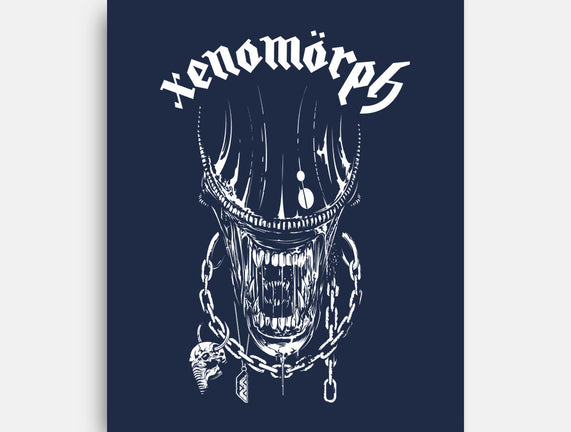 Xenomorph