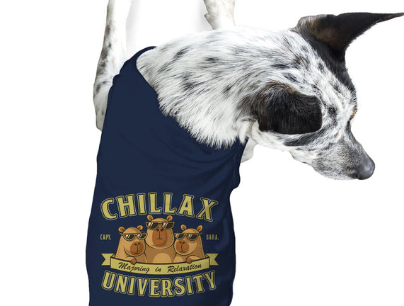 Chillax University