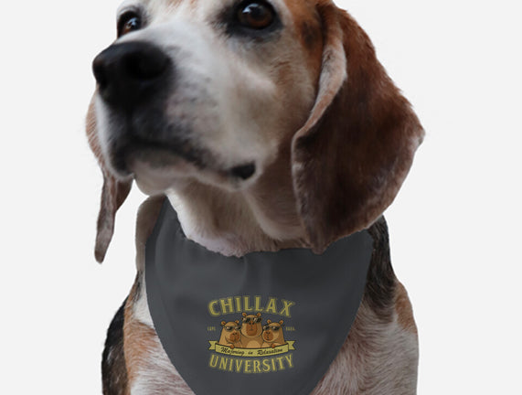 Chillax University