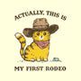 This Is My First Rodeo-Cat-Bandana-Pet Collar-kg07