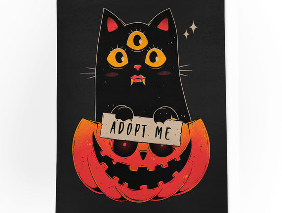 Adopt Spooky Cat