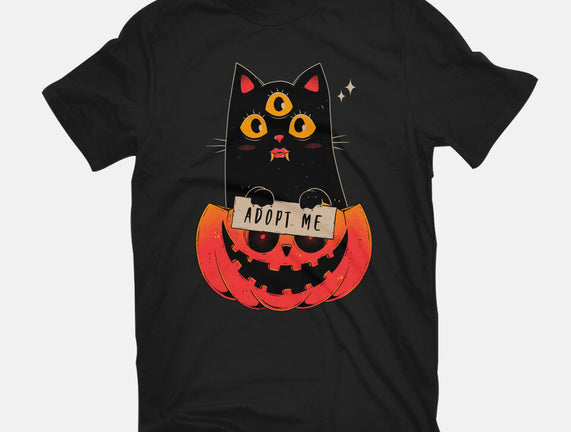 Adopt Spooky Cat