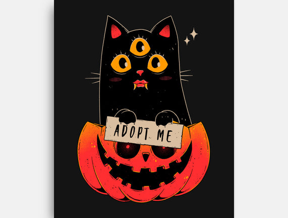 Adopt Spooky Cat