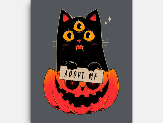 Adopt Spooky Cat