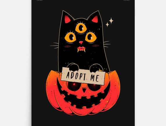 Adopt Spooky Cat