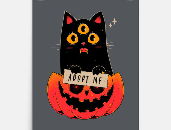 Adopt Spooky Cat