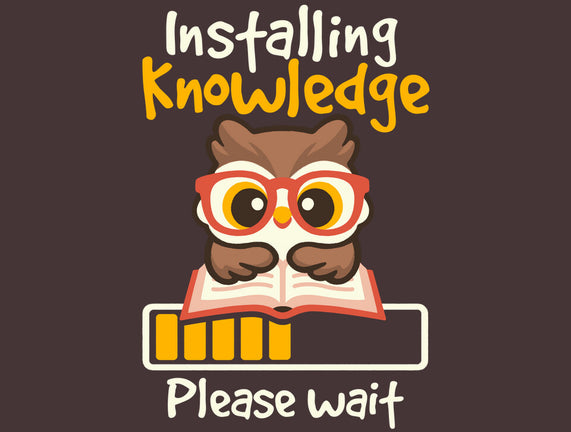 Installing Knowledge