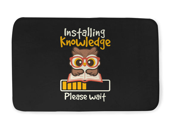 Installing Knowledge