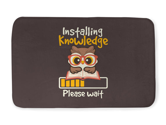 Installing Knowledge