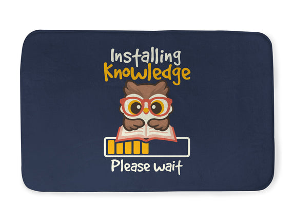 Installing Knowledge