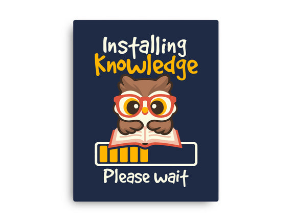 Installing Knowledge